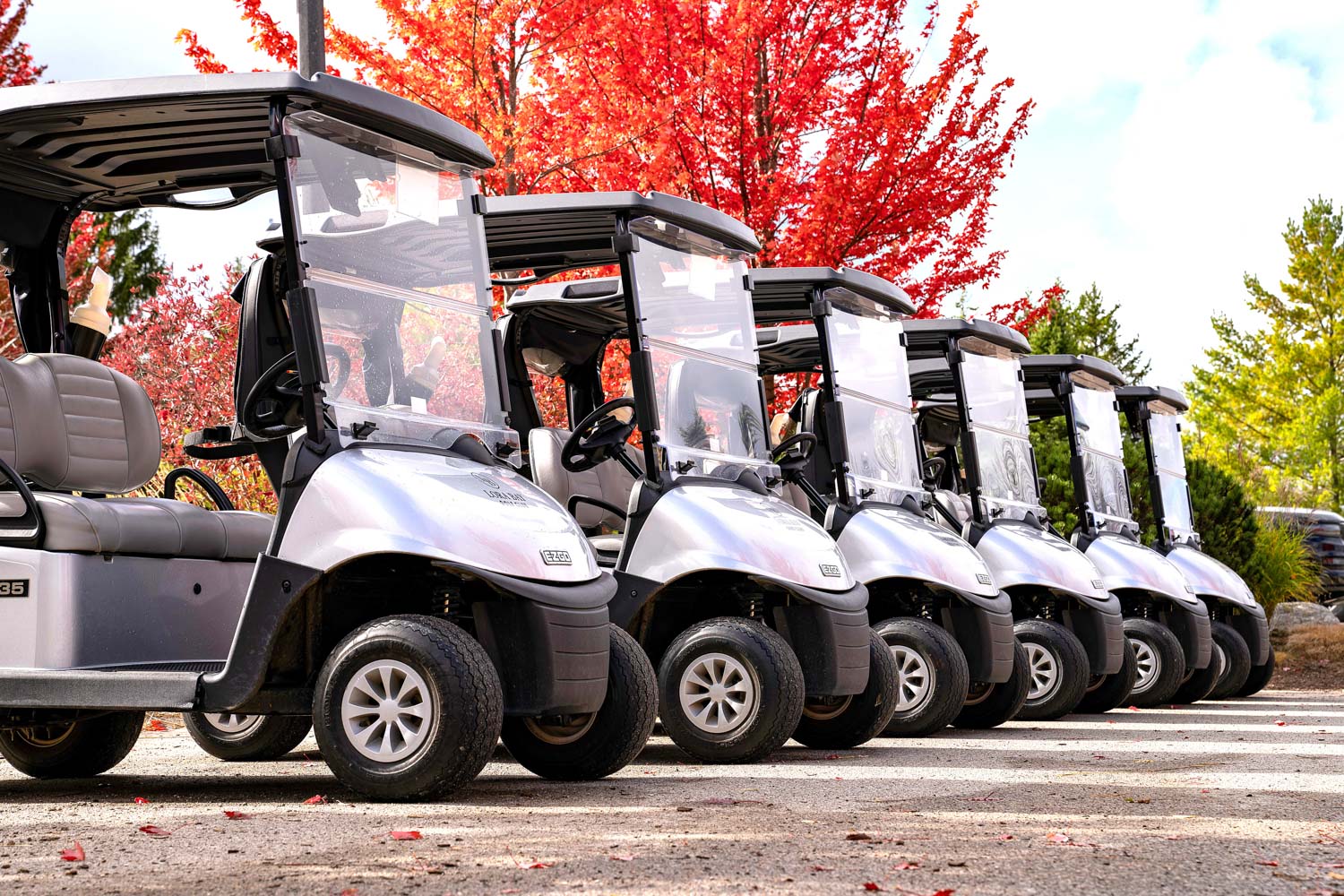 Golf carts at Lora Bay