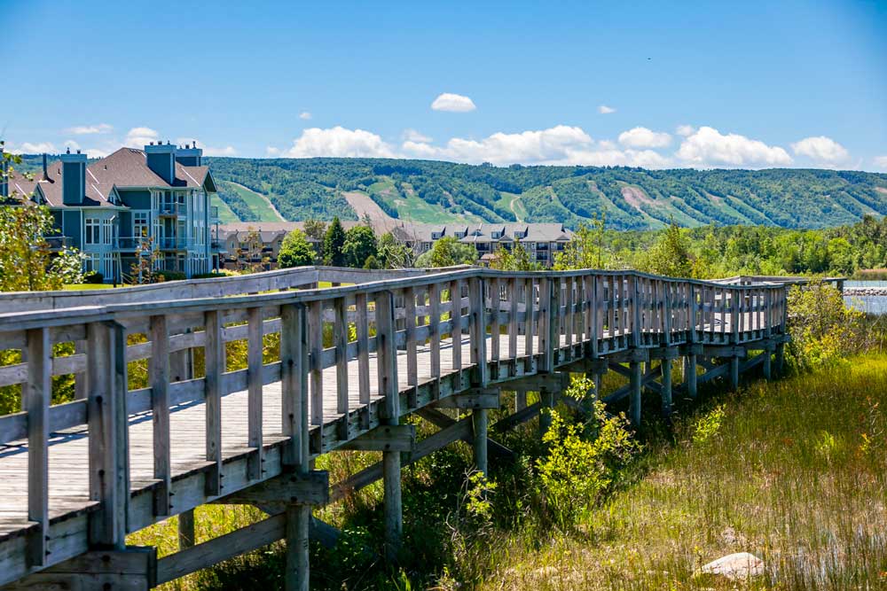 The Boardwalk with Blue Mountain Views