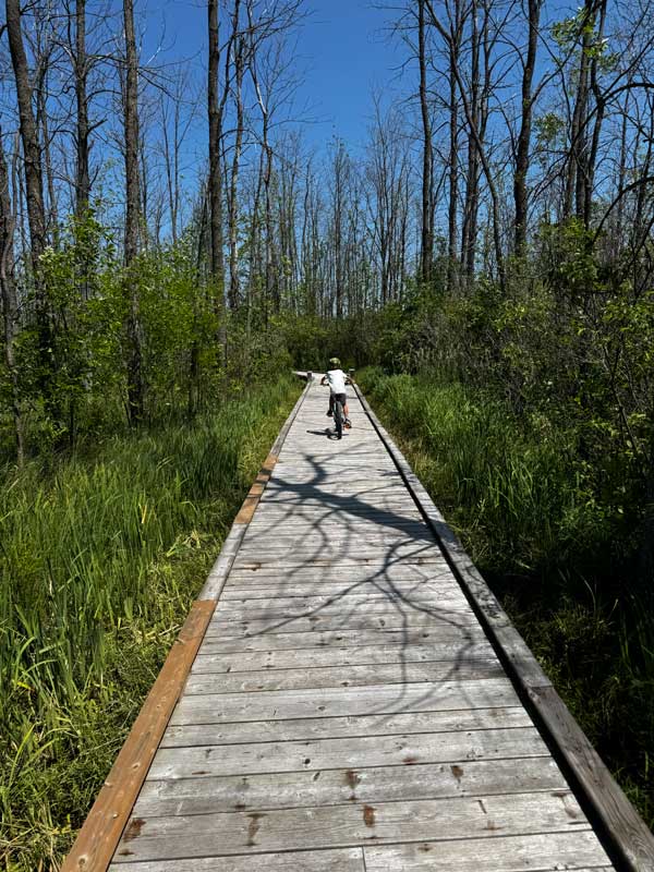 Cranberry Boardwalk and Trail