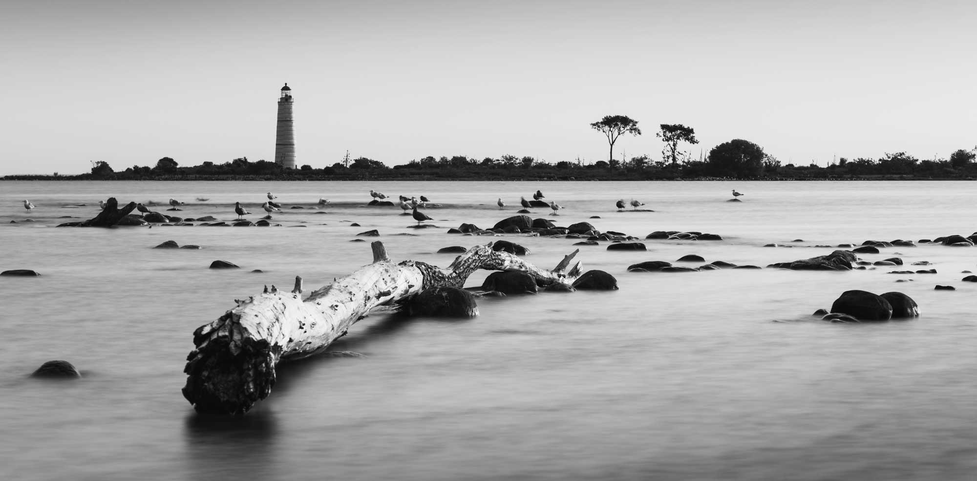 Black and White photography on Georgian Bay