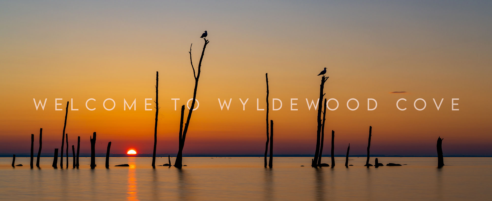 Welcome to Wyldewood Cove in Collingwood