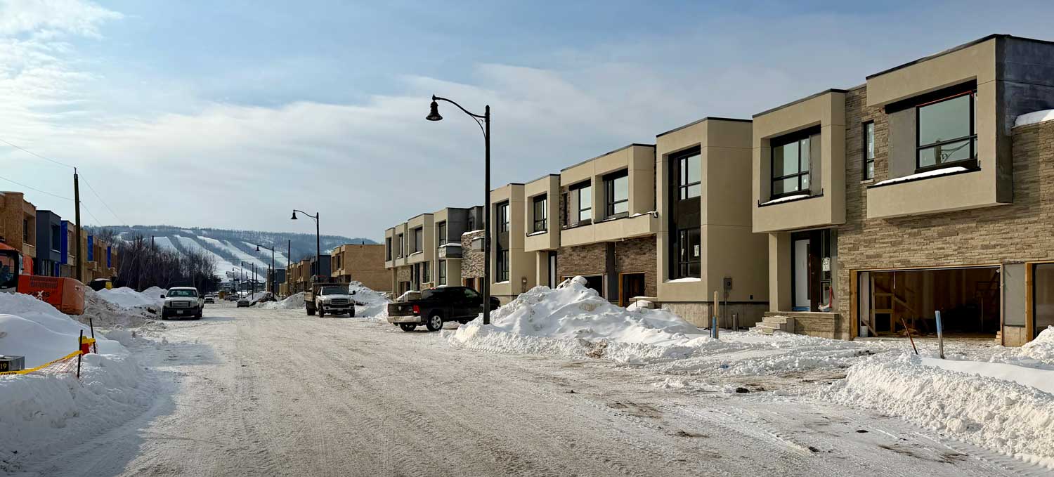 Blue Vista in The Blue Mountains, February 2026