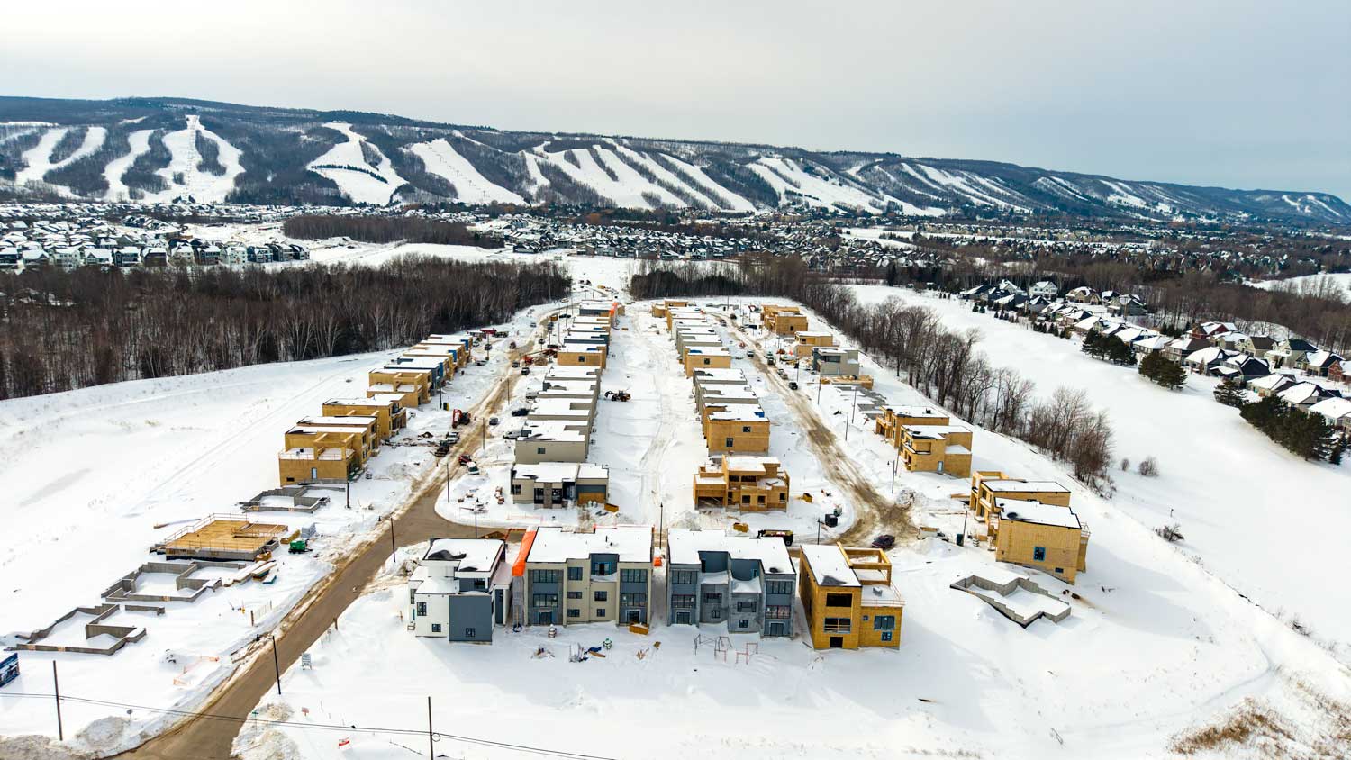 Blue Vista in The Blue Mountains, March 2026